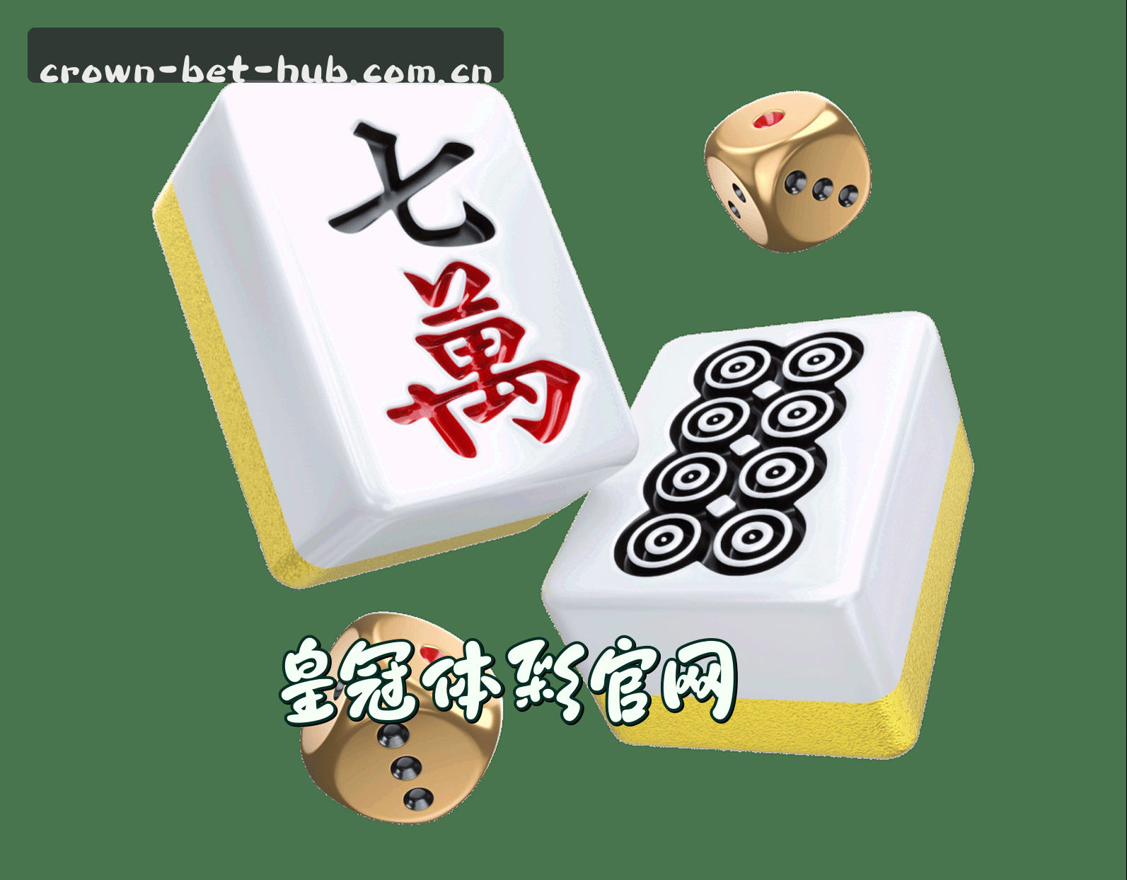 关于我们信息
