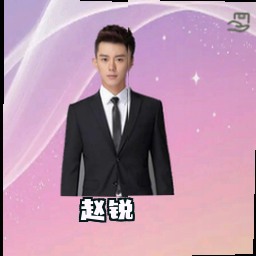 赵锐